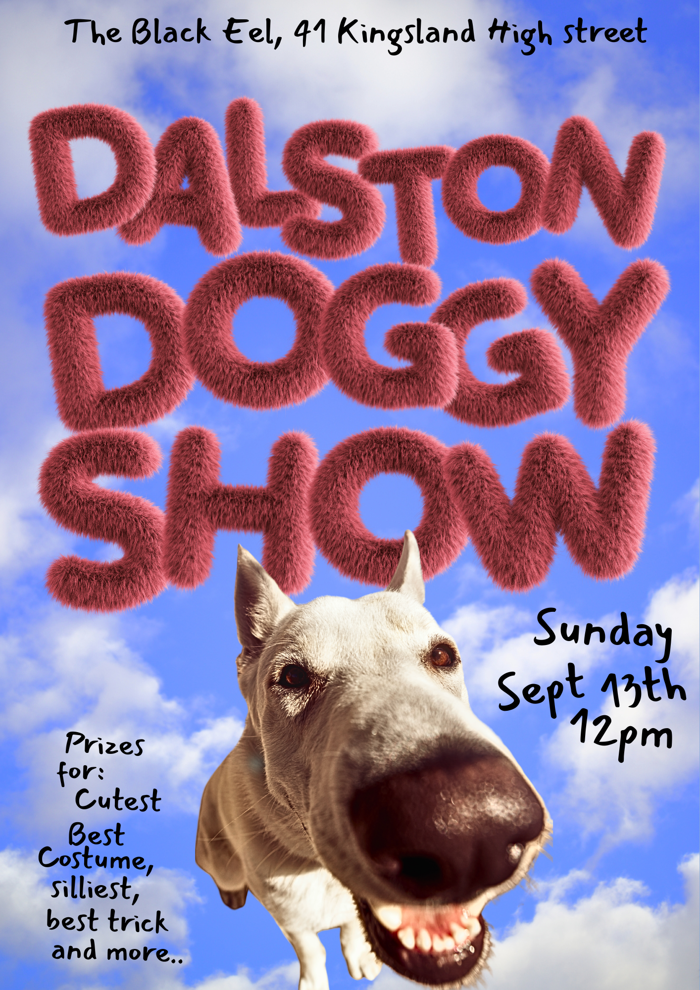 Dalston Doggy show