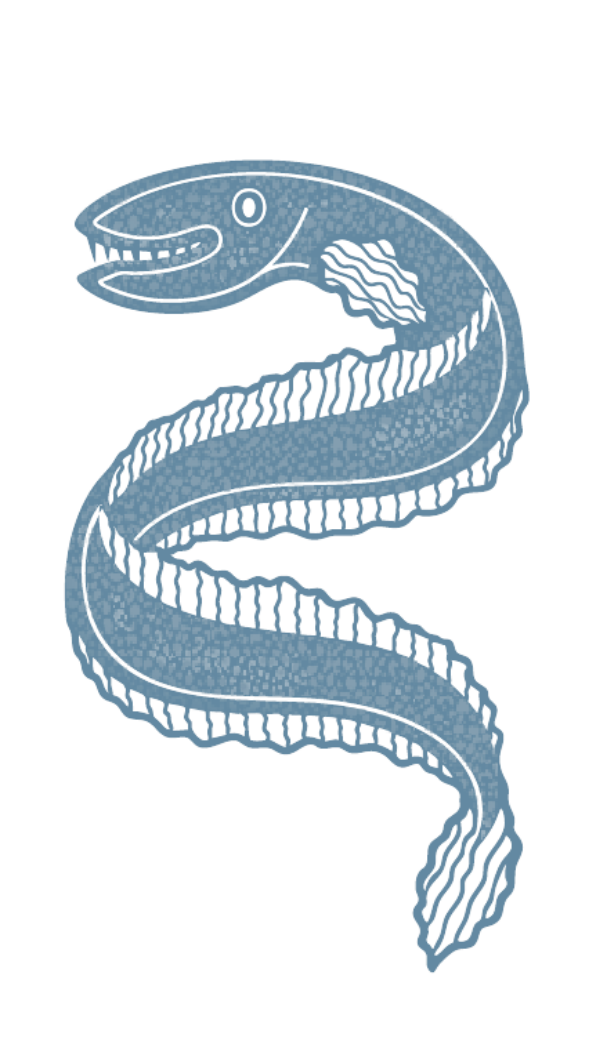The Black Eel