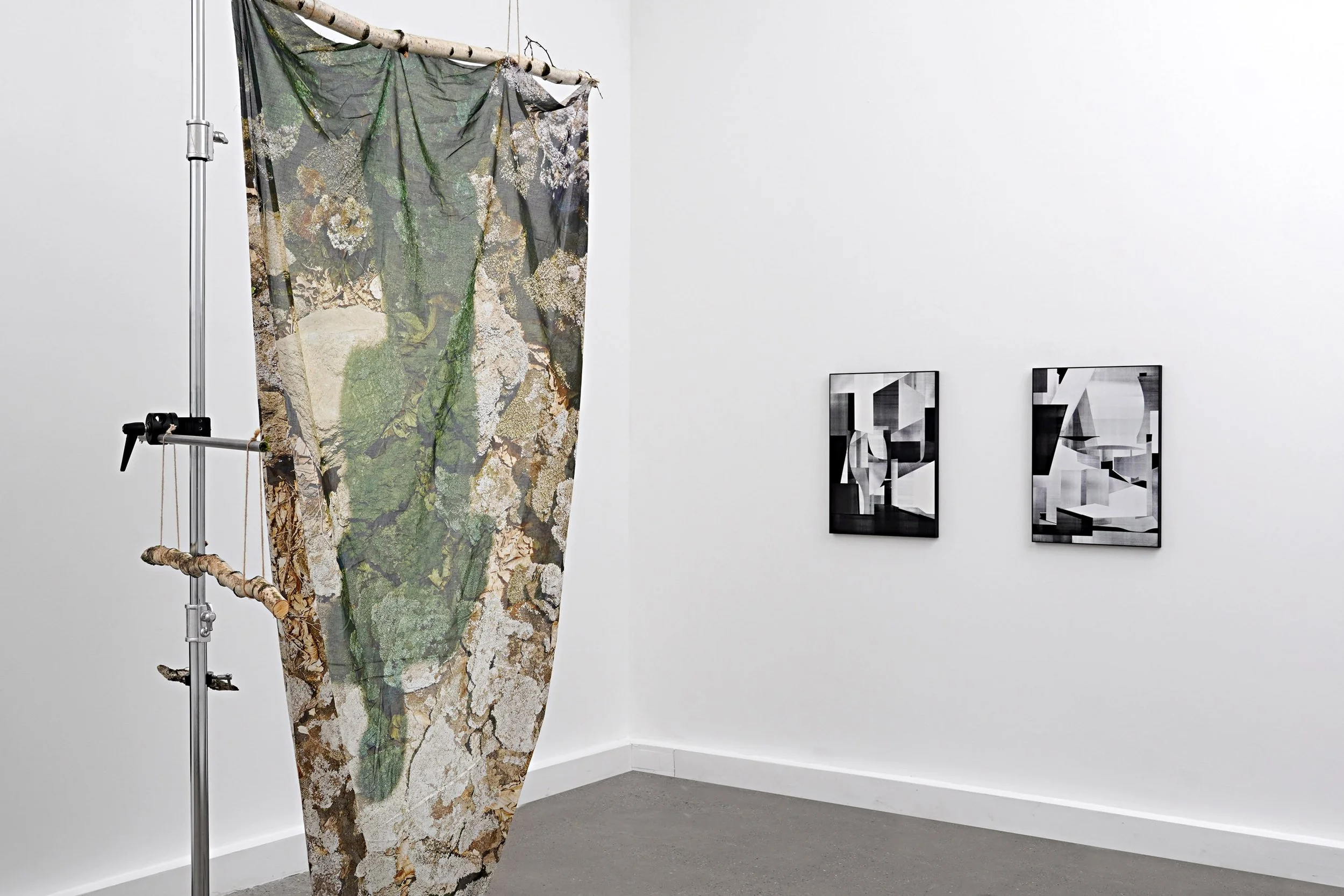 New Anatomies Exhibition
