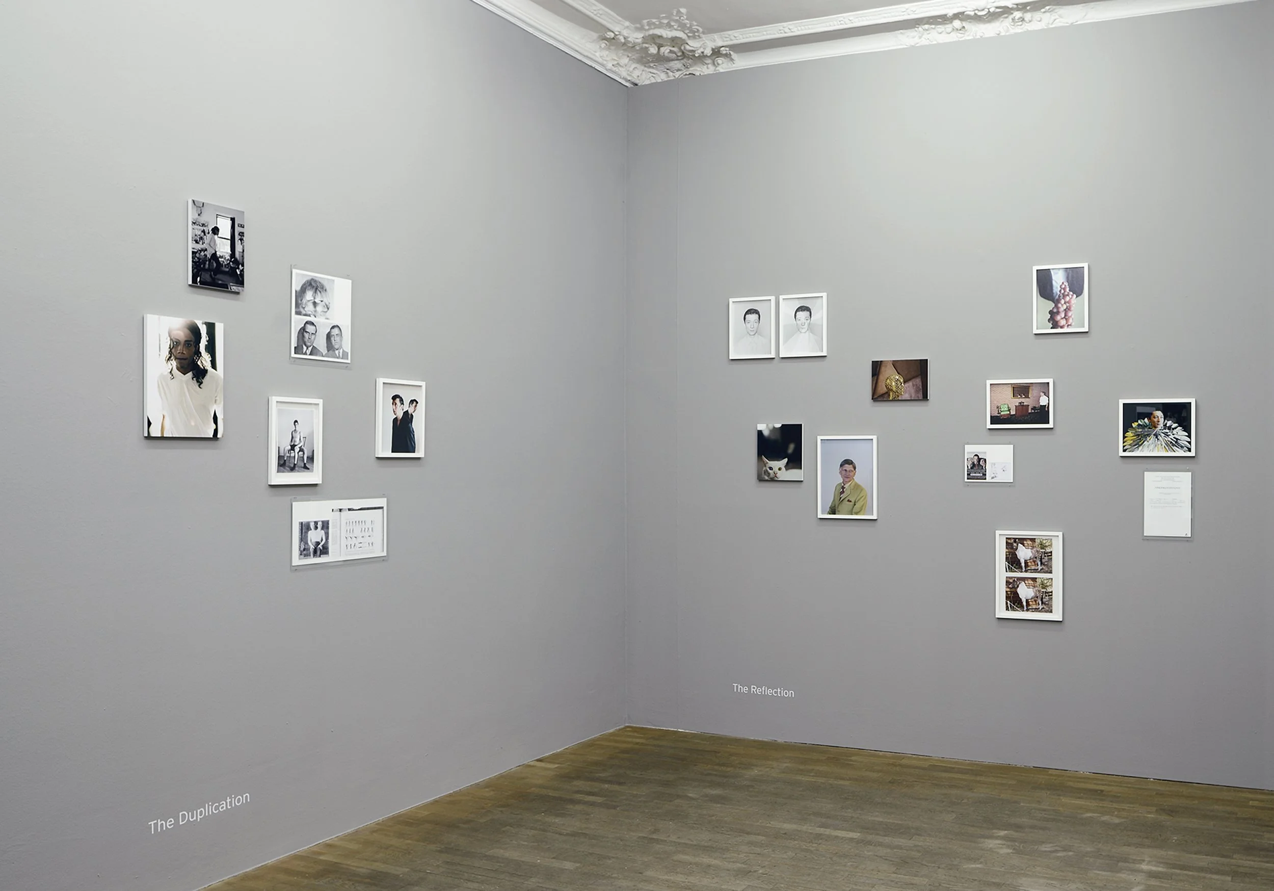 Sara-Lena Maierhofer: Dear Clark, Ausstellungsansicht