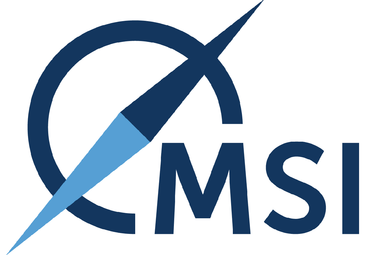 MSI forecasts firm dry bulk market into 2027, driving further newbuilding orders