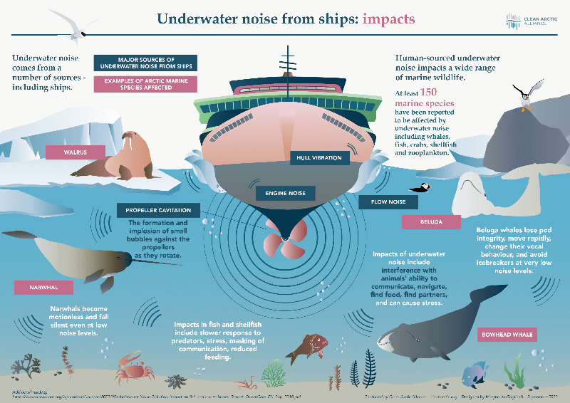 Environmental NGOs welcome clear guidance on IMO&nbsp;plans for reducing underwater noise from shipping