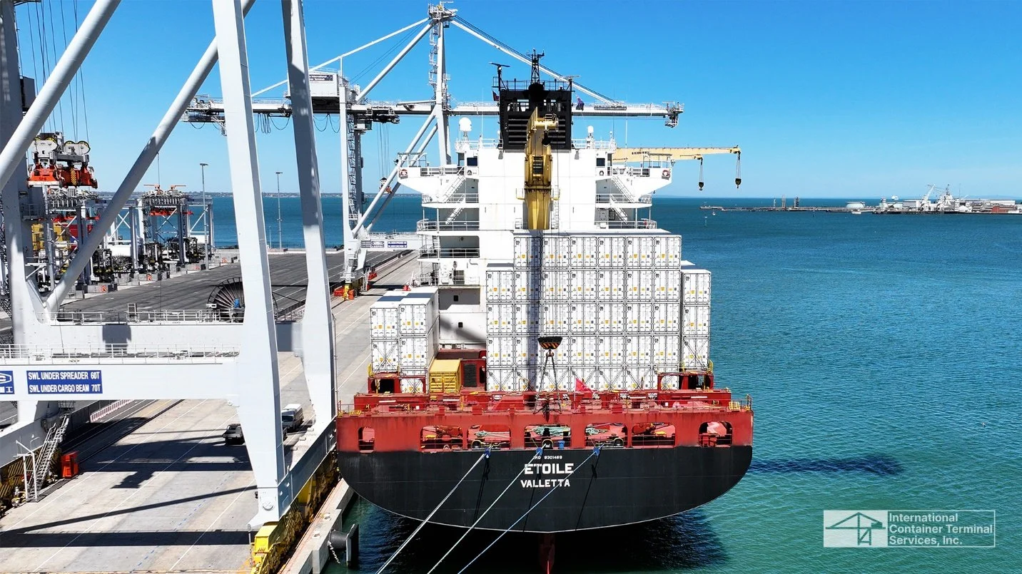 MSC Eagle service calls Victoria International Container Terminal