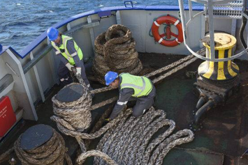 Seafarers face widening competency gap as digital shipping accelerates, recent research finds