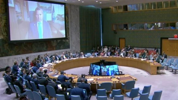"Freedom of navigation is not negotiable": IMO addresses UN Security Council on Hormuz situation