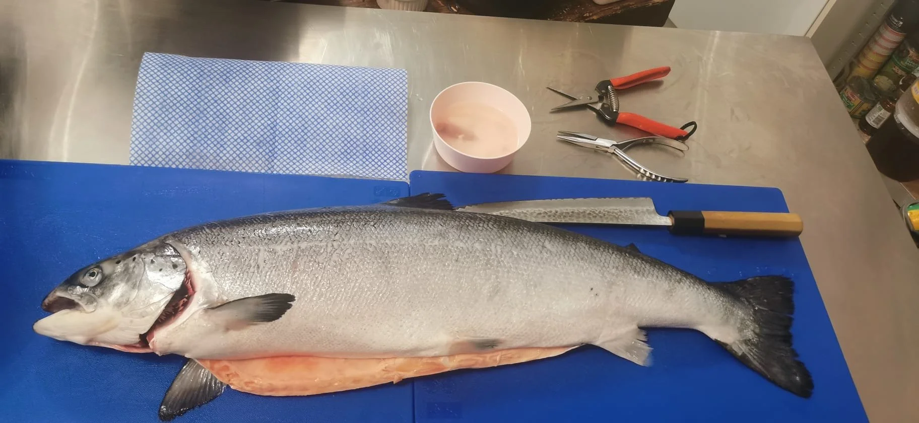 WhatsApp Image 2025-09-04 at 15.14.09_ff67b9c5.jpg