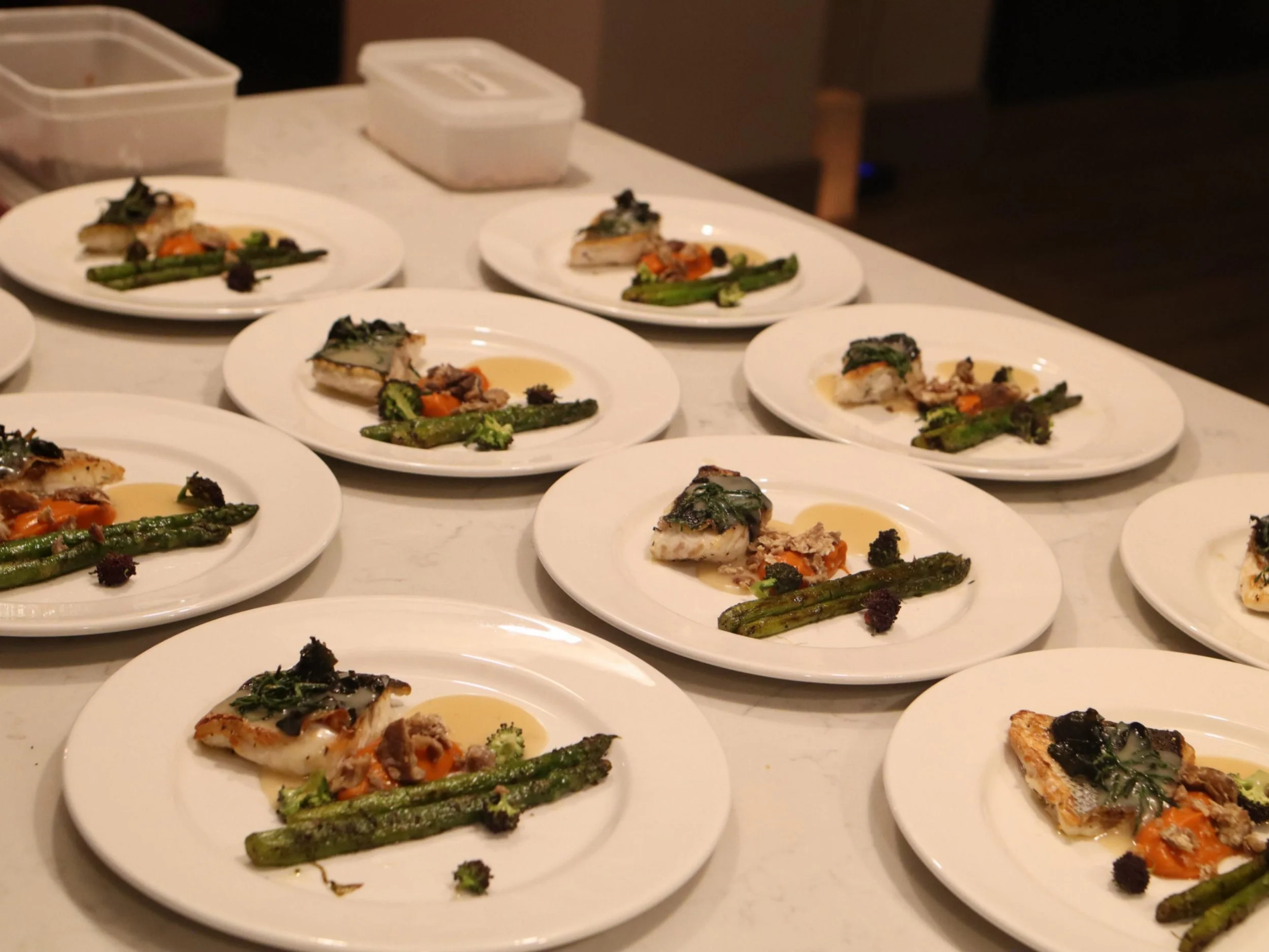 Rows of plated seared fish with asparagus and purée ready for private dining service.