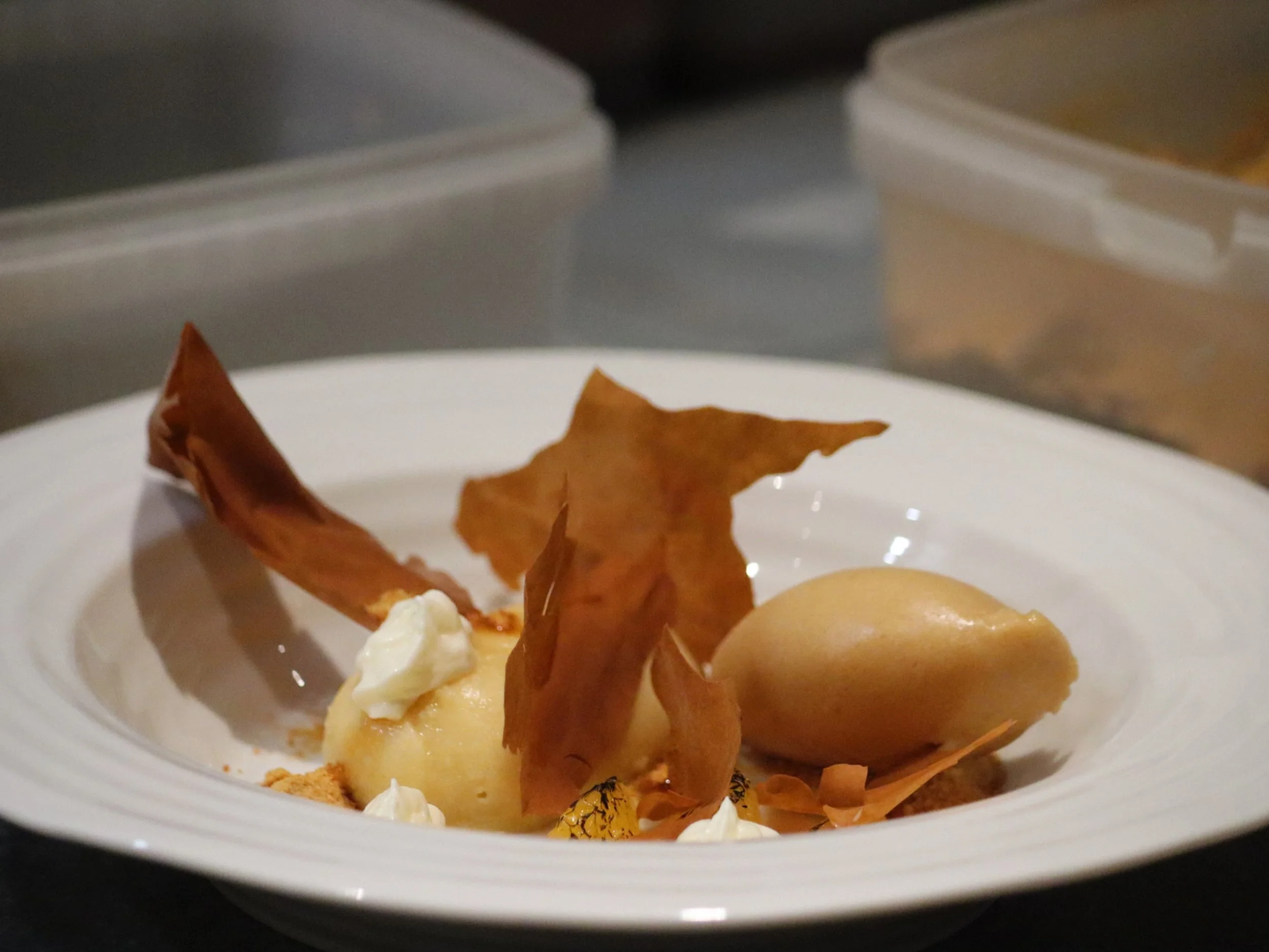 Plated dessert with crisp tuile shards, smooth quenelles and delicate cream garnish.
