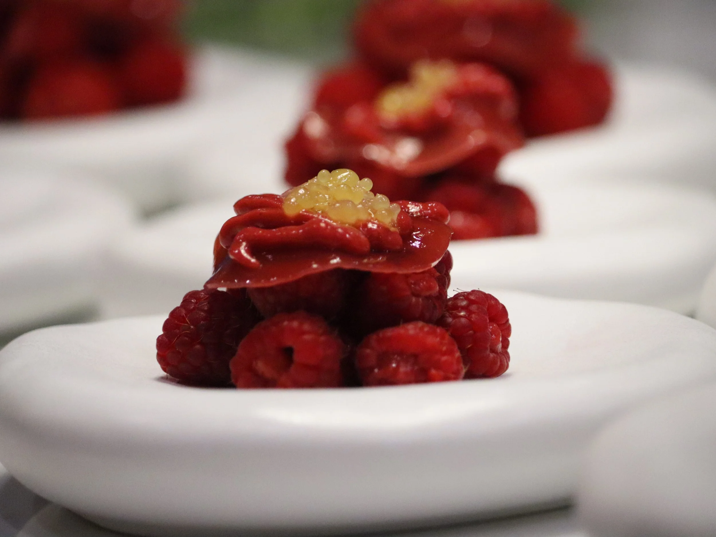 Raspberry fine dining dessert with coulis, fresh raspberries and citrus pearls.