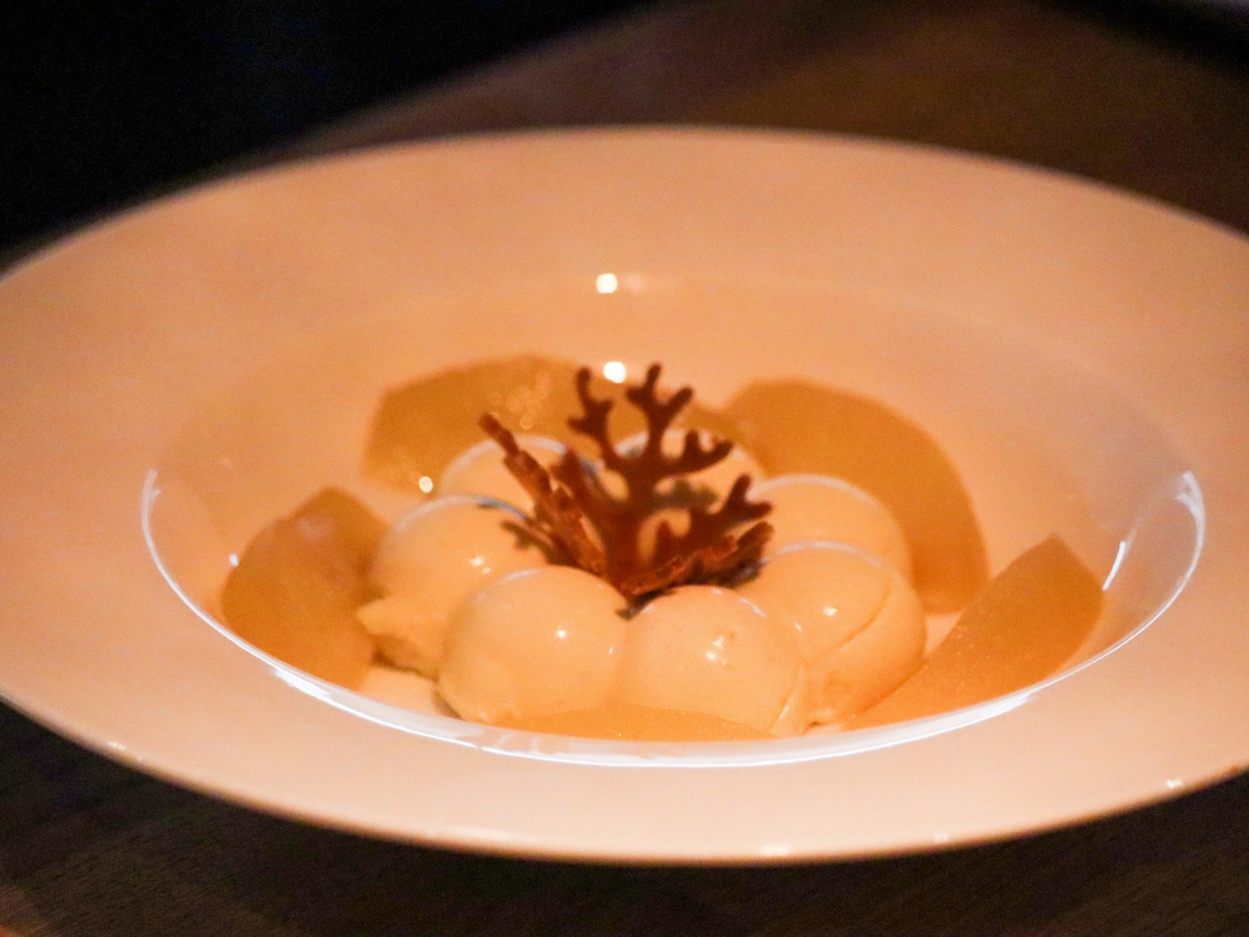 Elegant plated panna cotta, sauce and delicate botanical garnish.