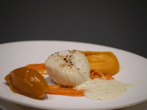 Fine dining scallop course with orange purée, caramelised garnish and light foam by Greek Tings.