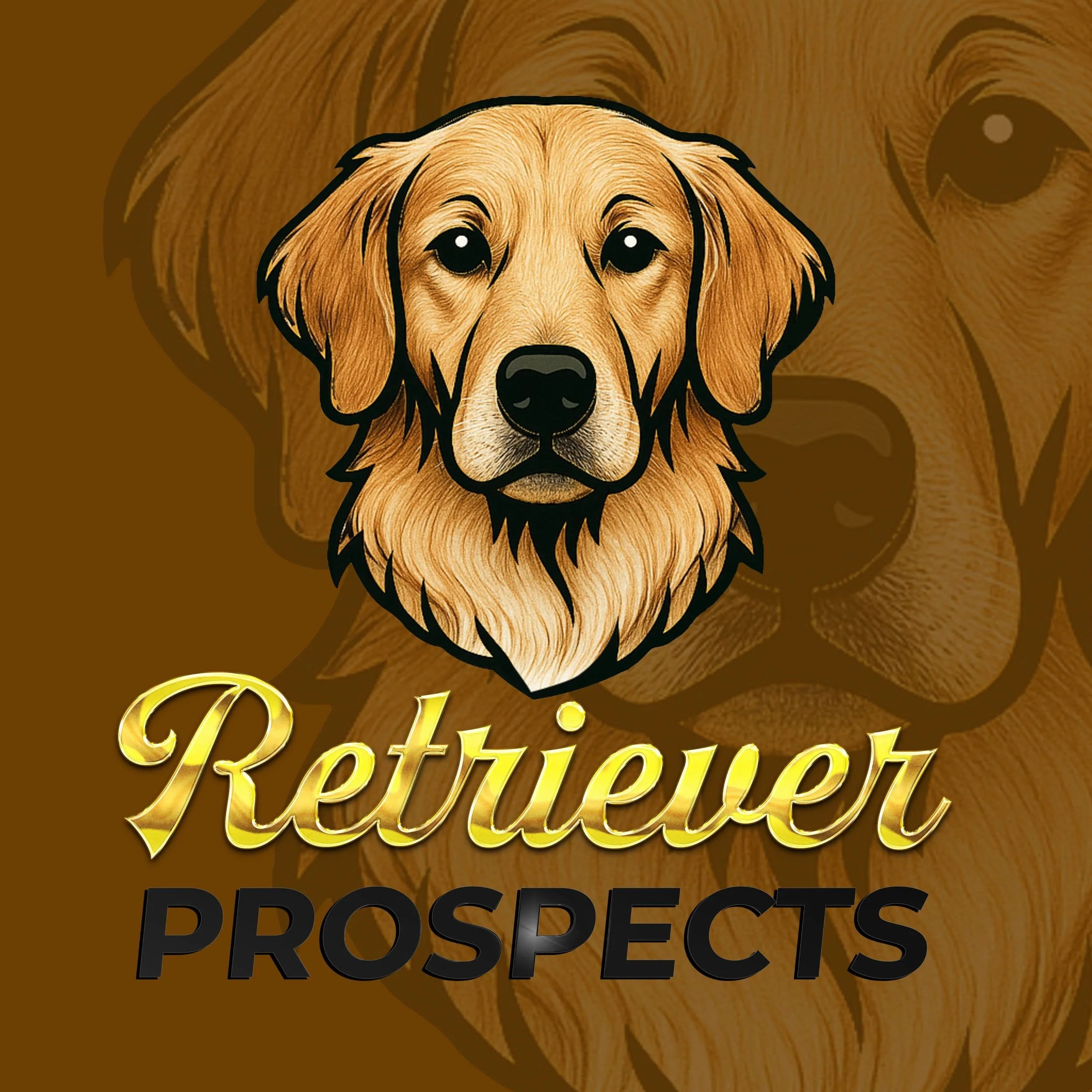 Dog training success review
