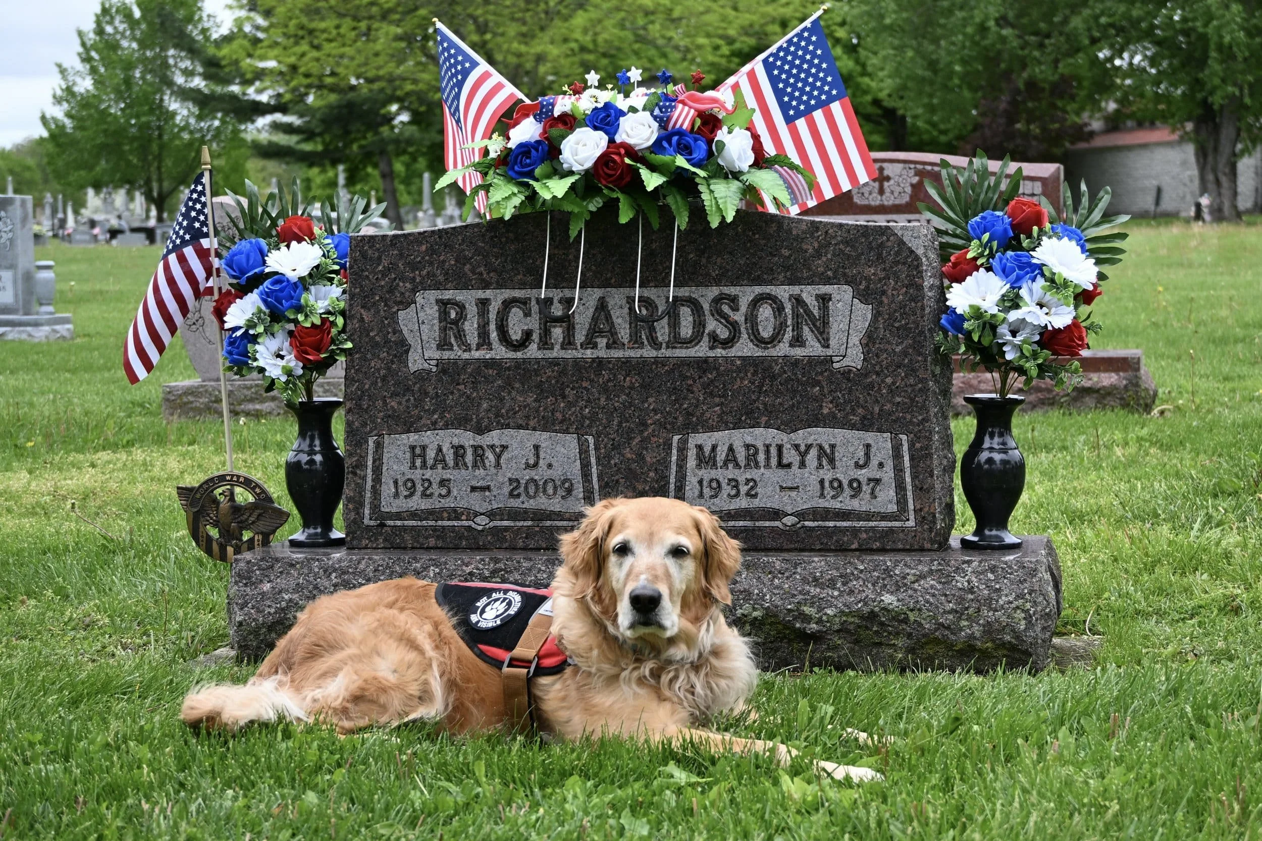 Professional retriever trainer Megan Richardson with nationwide dog training experience and service dog expertise.