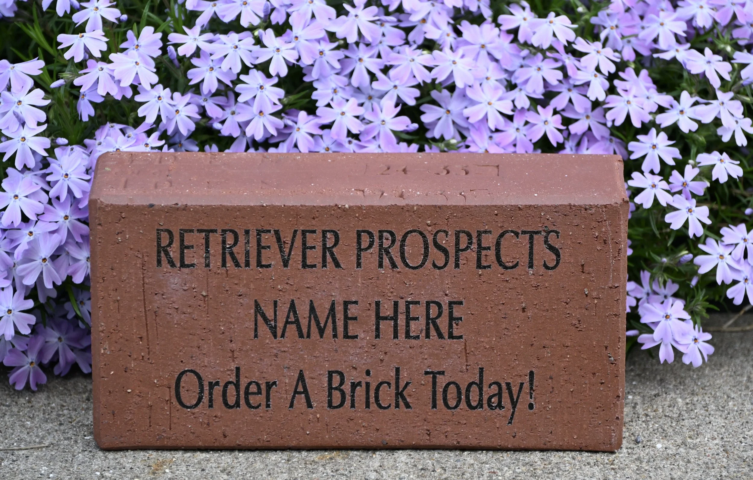 Commemorative Wall Tribute