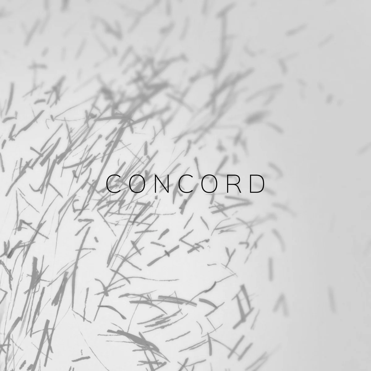 Concord
2018