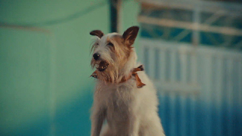 gif 11_1.gif