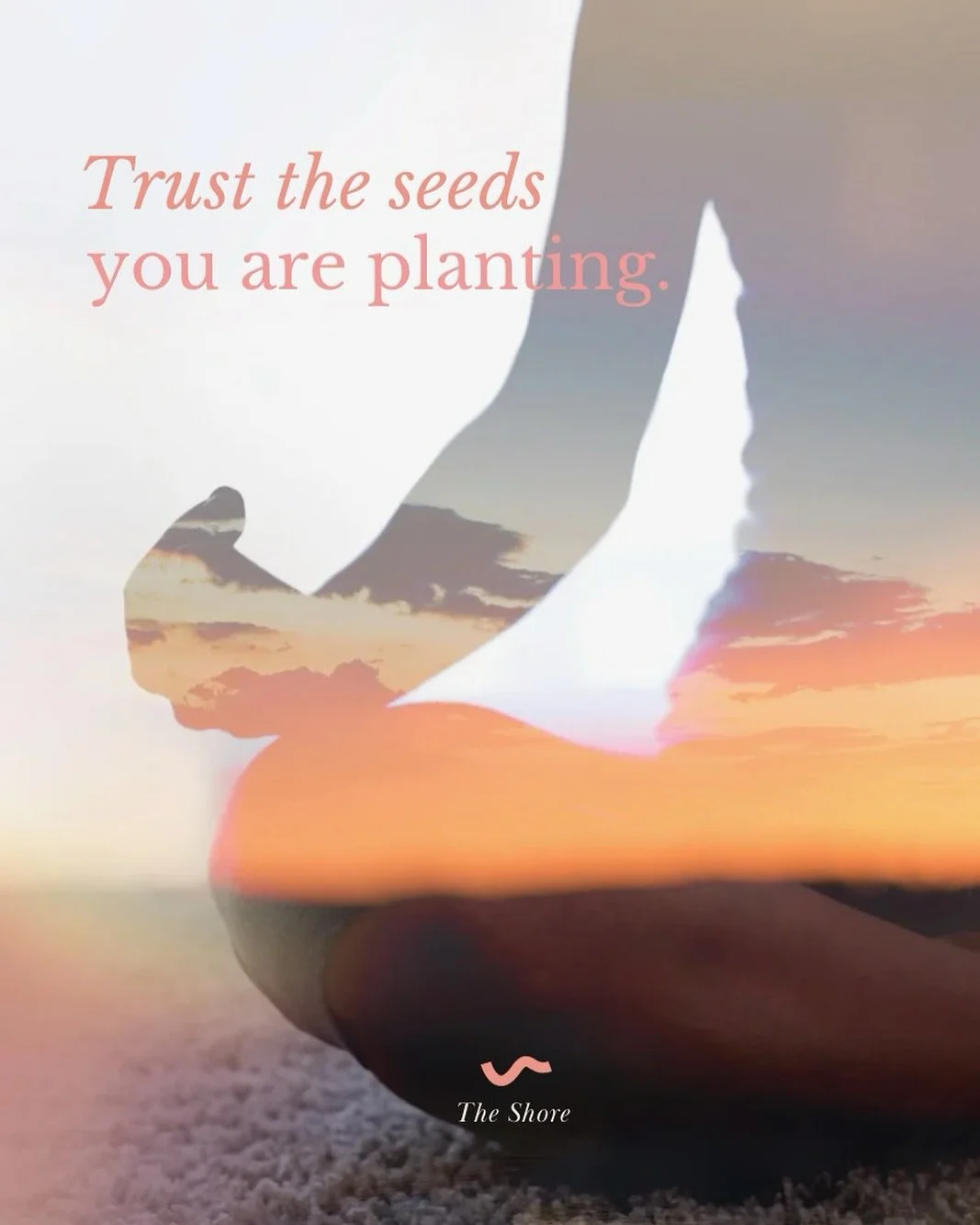 Här kommer en påminnelse om att du inte alltid behöver ha hela planen. Du behöver bara fortsätta. Fröna vet vad de ska göra så lita på processen. 🌱
Be a wave maker.
〰️
〰️
〰️
#yogamalmö #barremal