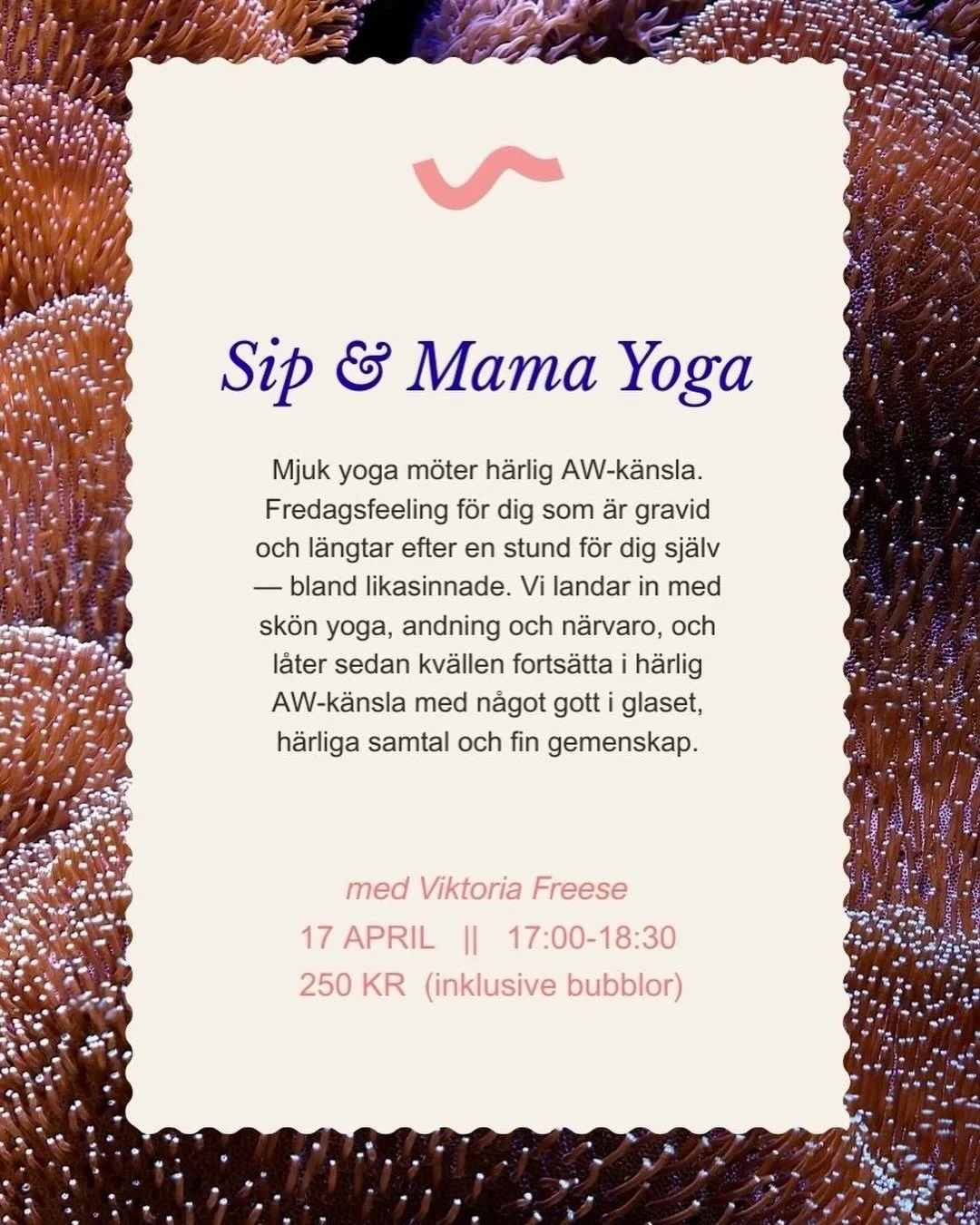 .
Gravid? Perfekt! 
D&aring; har vi skapat den perfekta AWn f&ouml;r dig. V&auml;lkommen till v&aring;r lilla, mysiga studio p&aring; Davidshall. 🤰🏽🌟🧘&zwj;♀️

〰️〰️〰️
Be a wavemaker