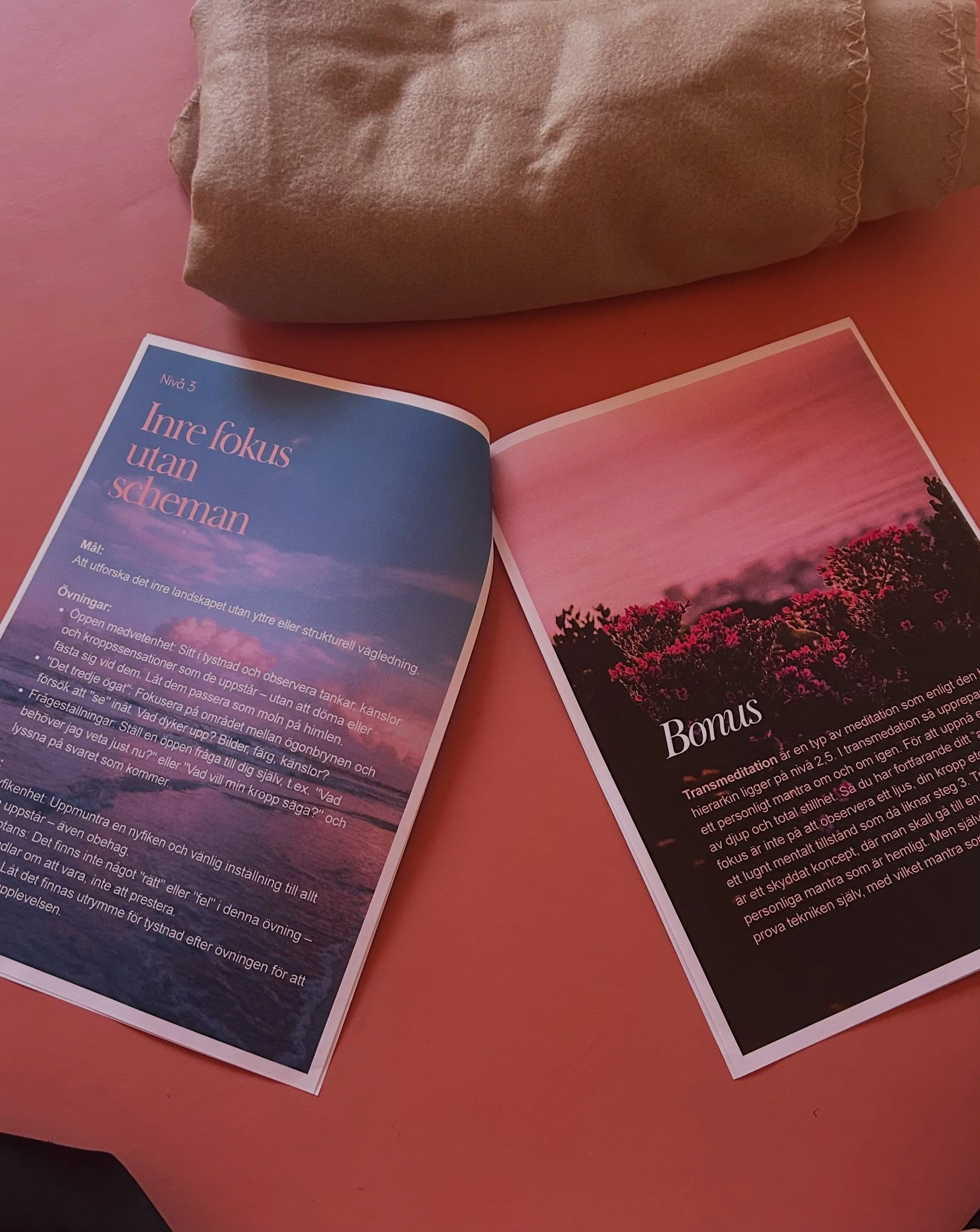 Inom yoga och meditation pratar man ofta om att sinnet har olika tillst&aring;nd. Det rastl&ouml;sa sinnet s&ouml;ker hela tiden n&auml;sta tanke, n&auml;sta stimulans, n&auml;sta sak att l&ouml;sa.

Meditation &auml;r inte att stoppa tankarna &mdash
