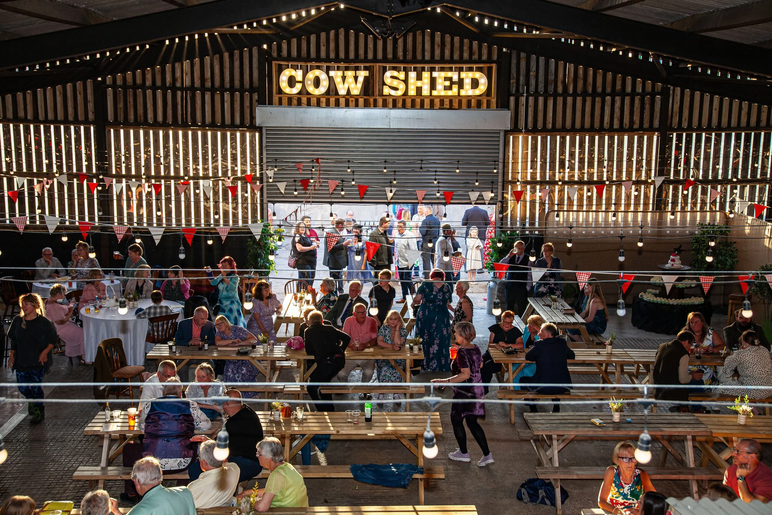 People gather inside a barn-style venue with a sign that says 'Cow Shed'. There are strings of lights and festive bunting decorations, with groups of people sitting at picnic tables and socializing.