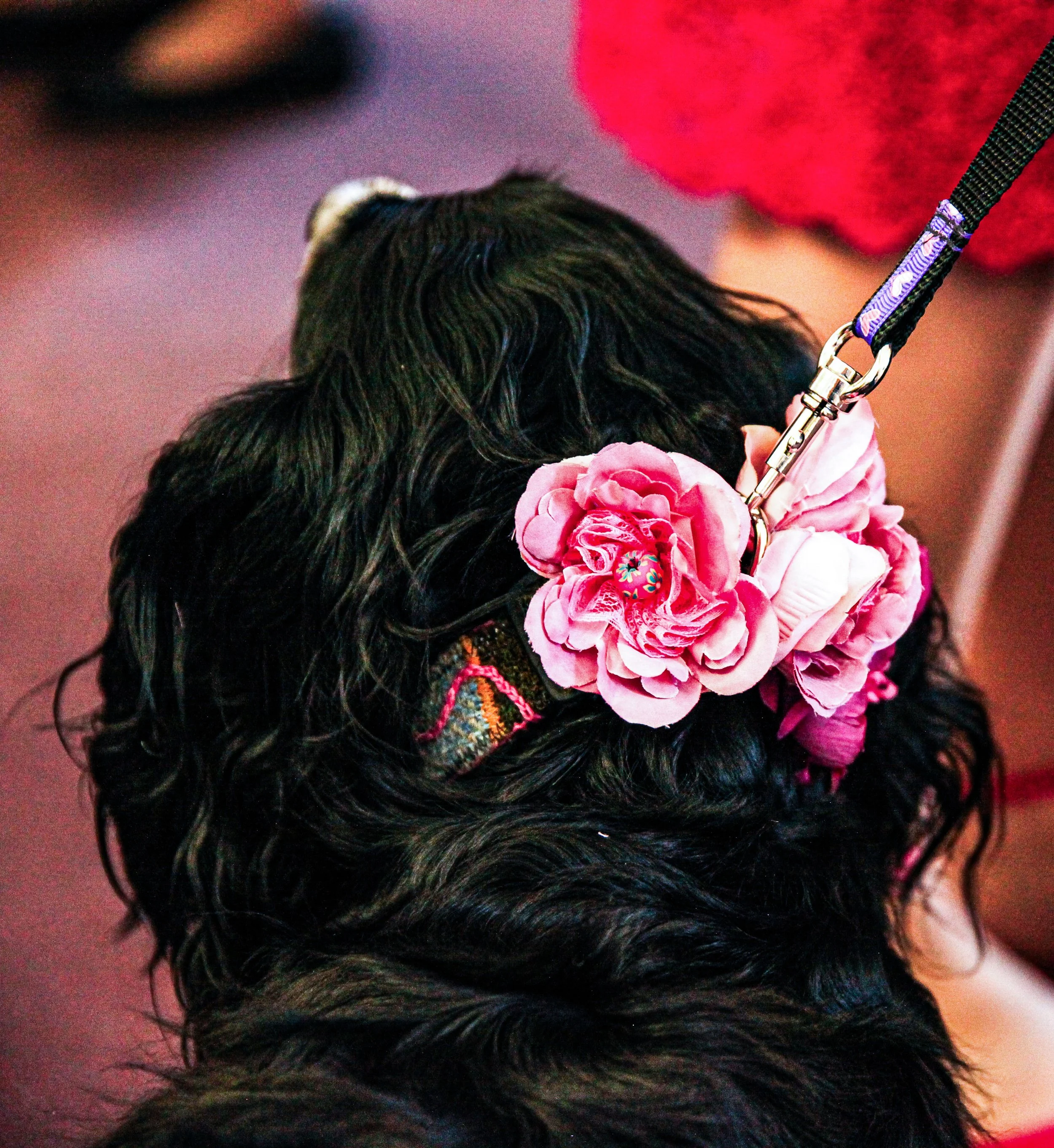 IMG_5849-2-2 copy.jpg