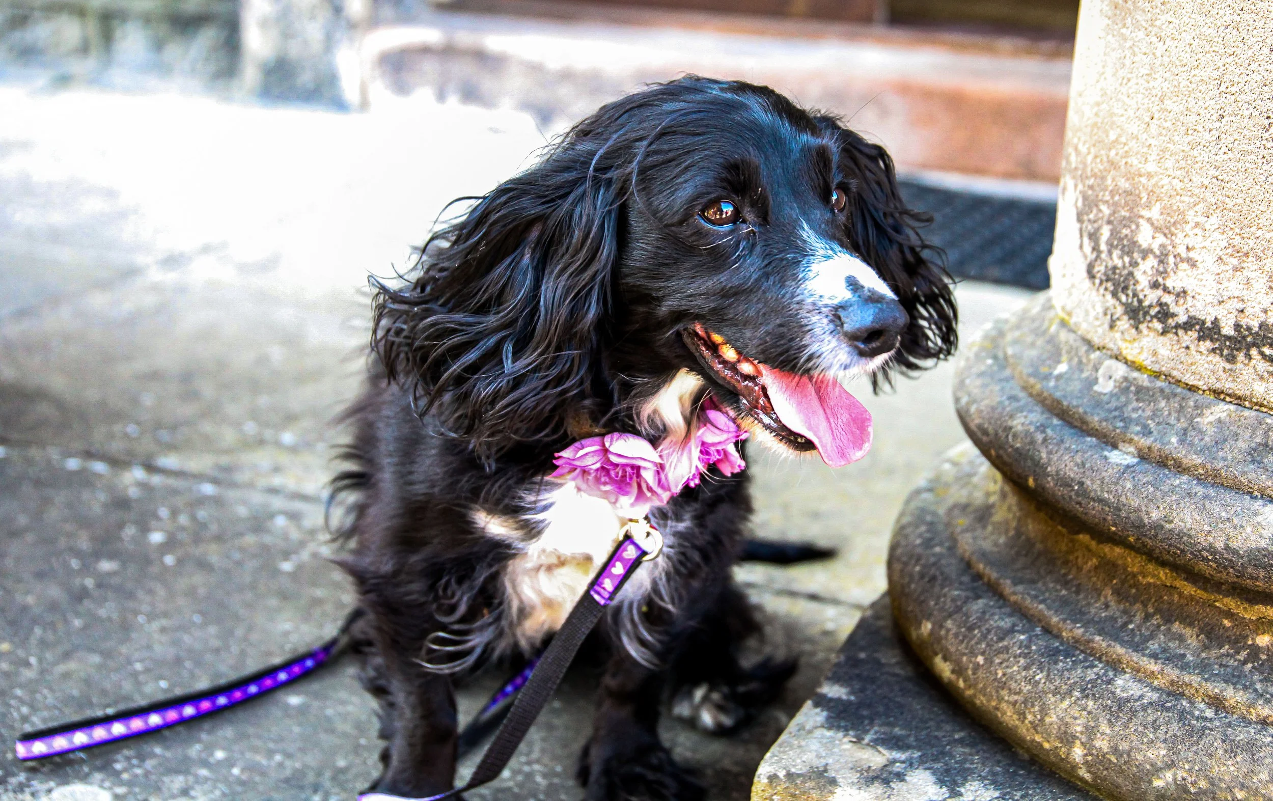 IMG_5811-2-2 copy.jpg