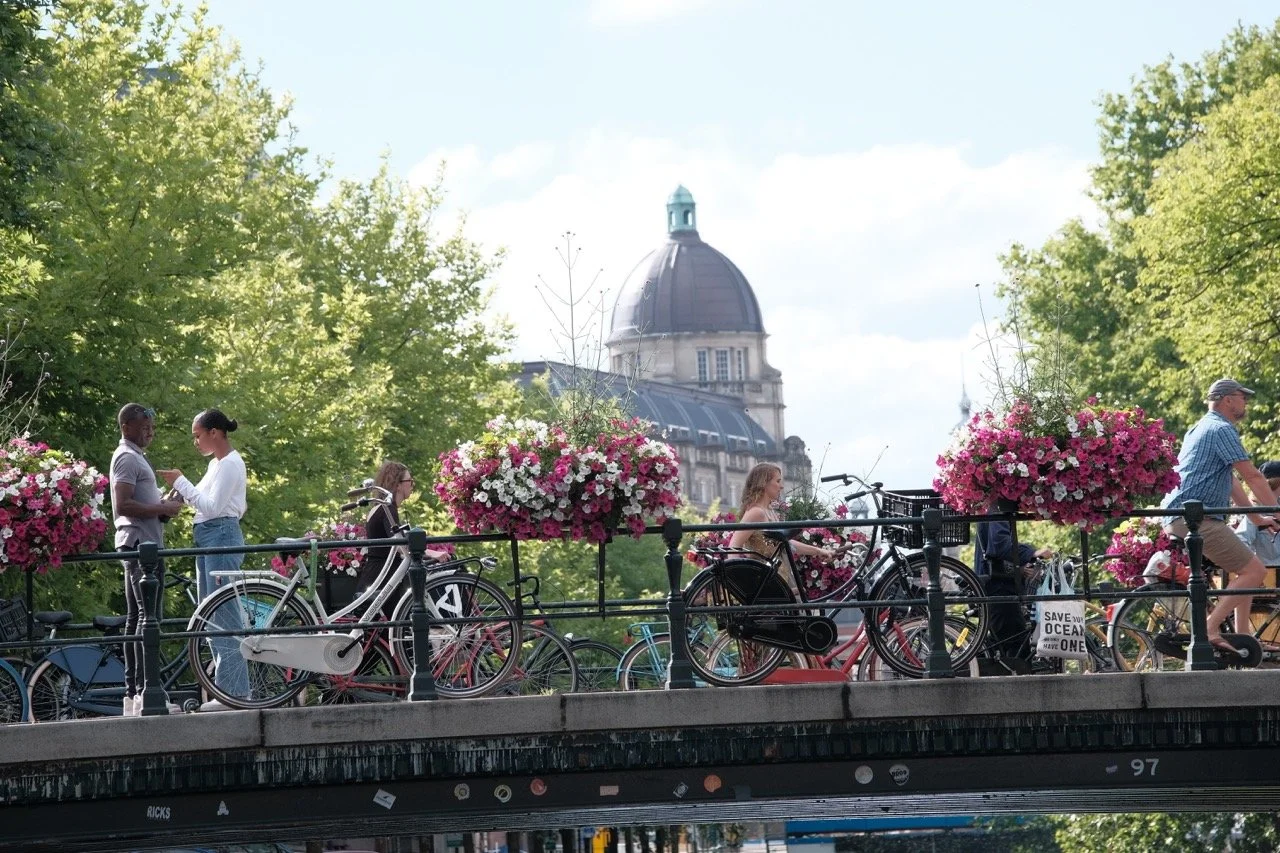 DSCF2654 Large 2.jpeg