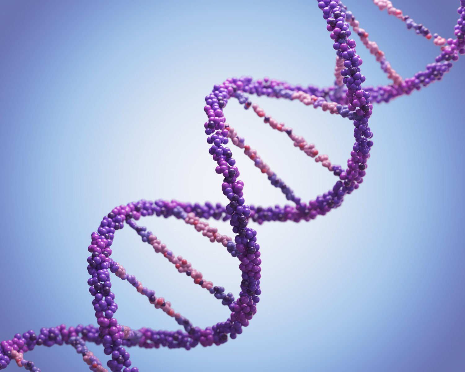 It’s not YOU. Obesity is genetic.