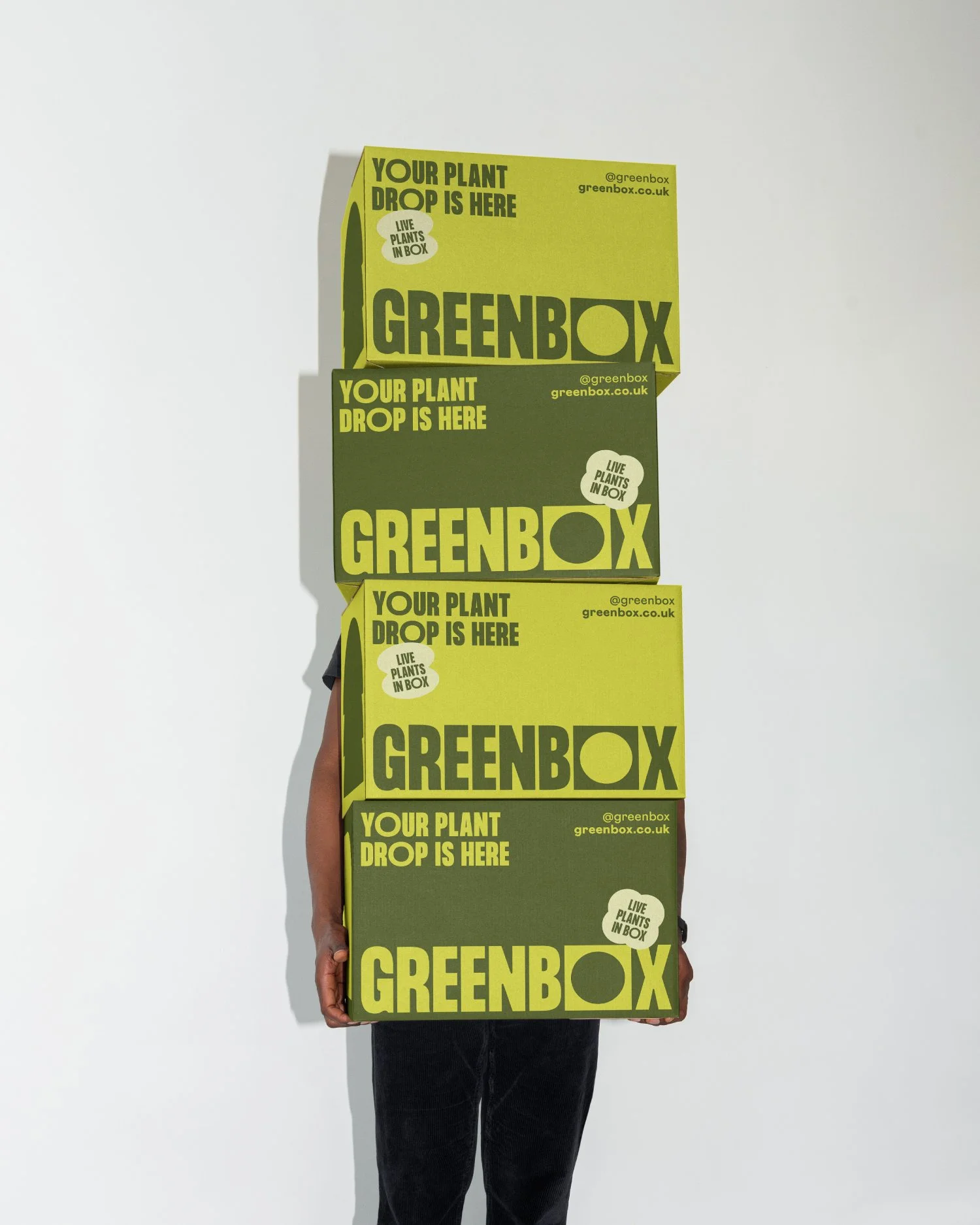 Person standing behind four yellow-green boxes with black text that say, "Your plant drop is here," "Greenbox," and contact information for Greenbox, a company that delivers live plants in boxes.