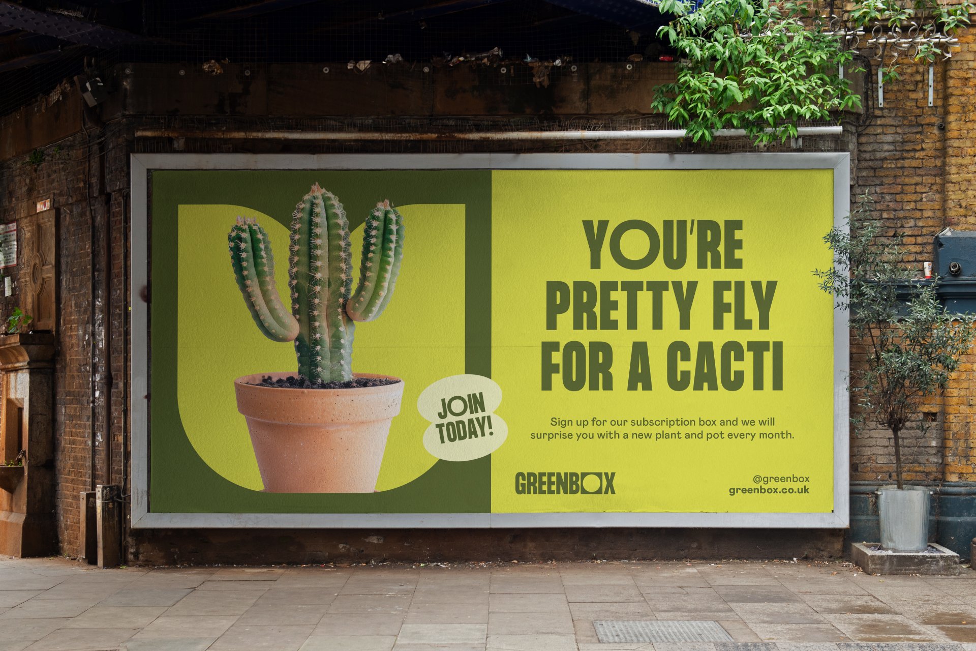 A green and yellow outdoor advertisement with a cactus in a terracotta pot and the text 'You're pretty fly for a cacti', promoting a subscription box service by Greenbox, with additional details and a website link.