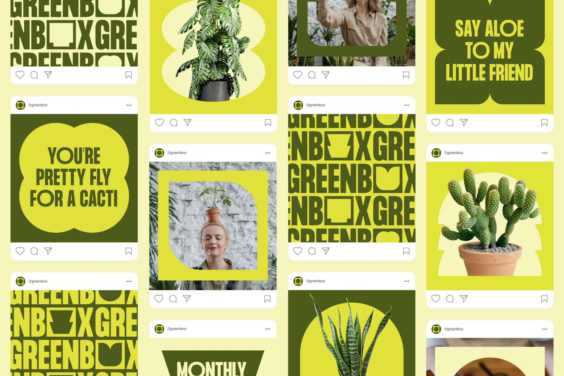 Collage of Instagram posts and graphic designs promoting plants and greenery, with text messages like "Say aloe to my little friend," "You're pretty fly for a cacti," and repeated "Greenbox" logos, featuring various potted plants and botanical images in shades of green and yellow.