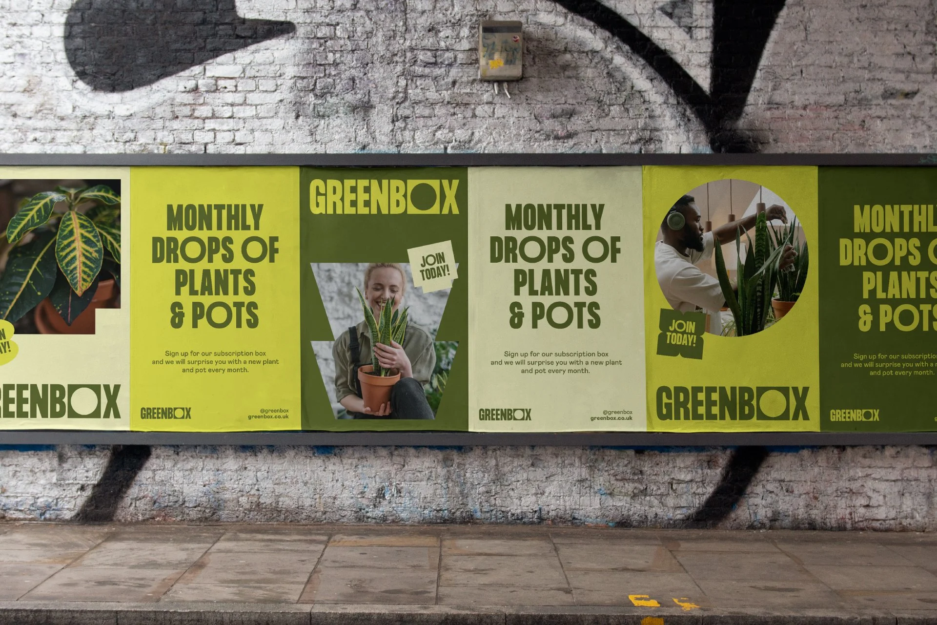 GreenBOX advertisement board on a brick wall promoting monthly plant delivery service with images of plants and people caring for plants.