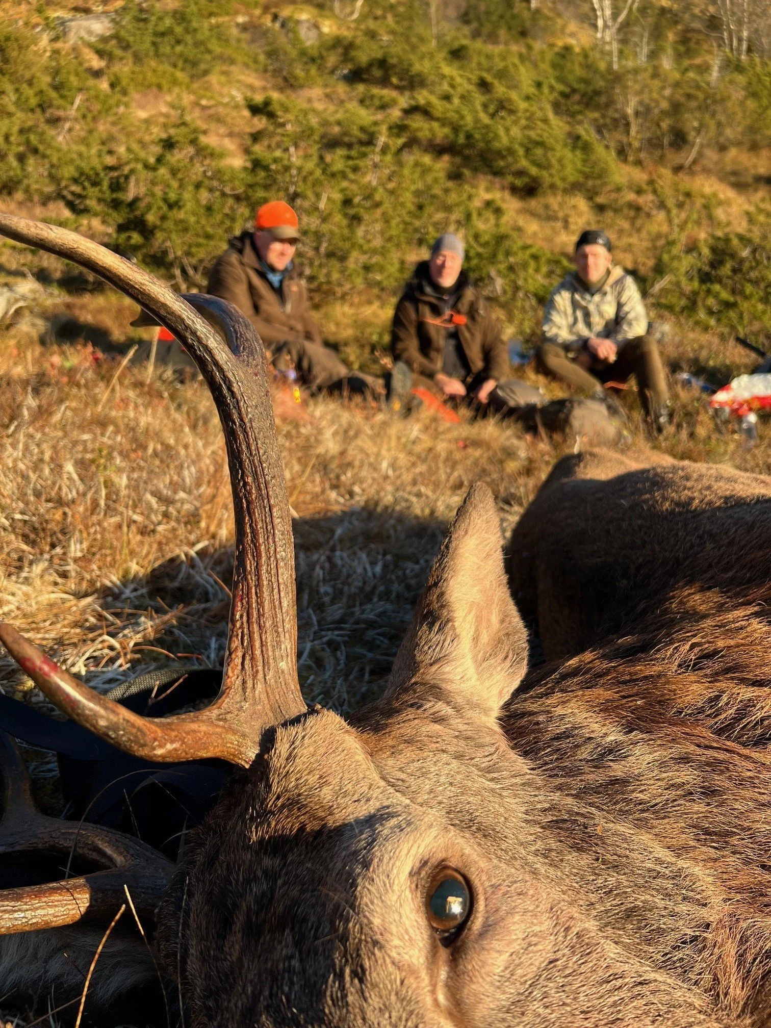 Bidro med gode jaktopplevelser for 2200 jegere