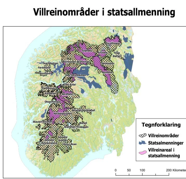 Innspill til stortingsmelding om villrein