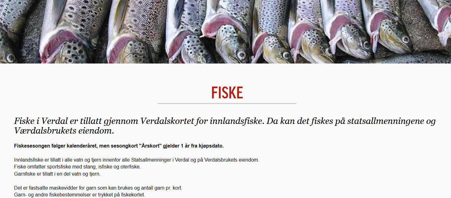 Verdal fjellstyre med nye nettsider