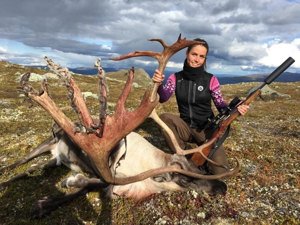 Ble det villreinjakt i år?