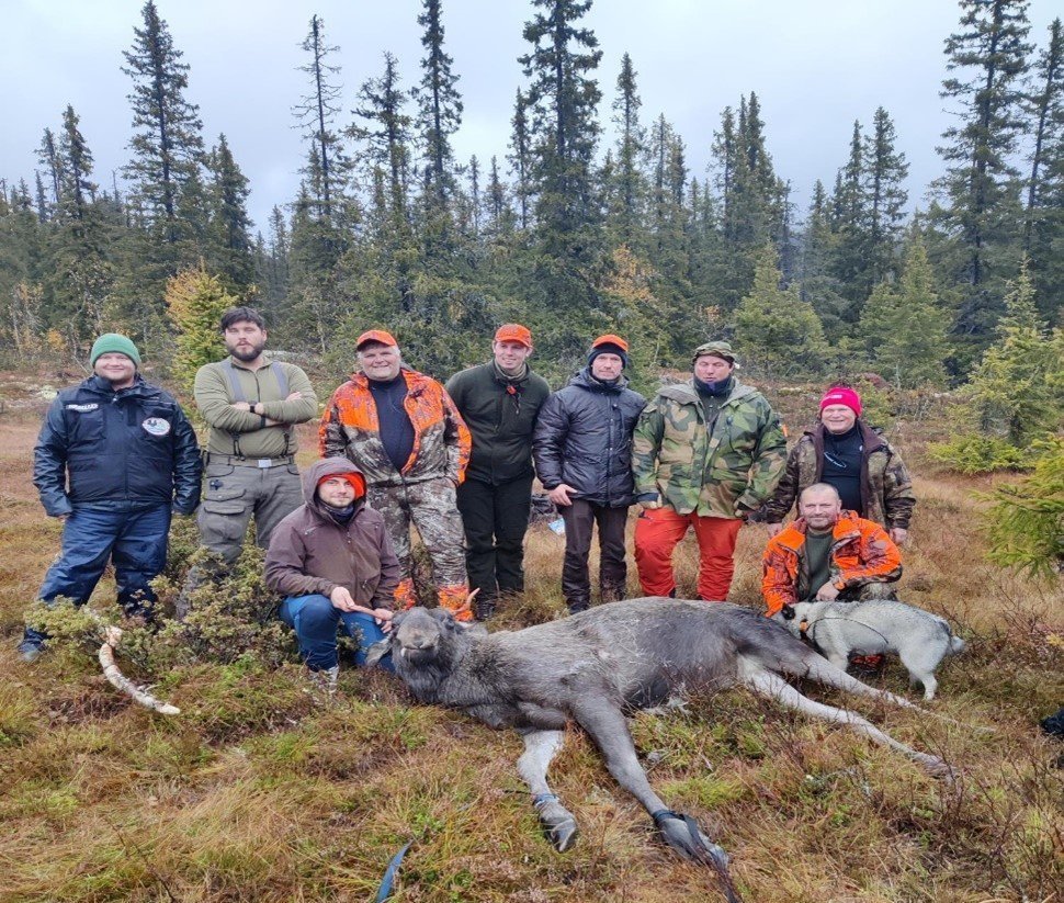 Vellykket introjakt i Gausdal