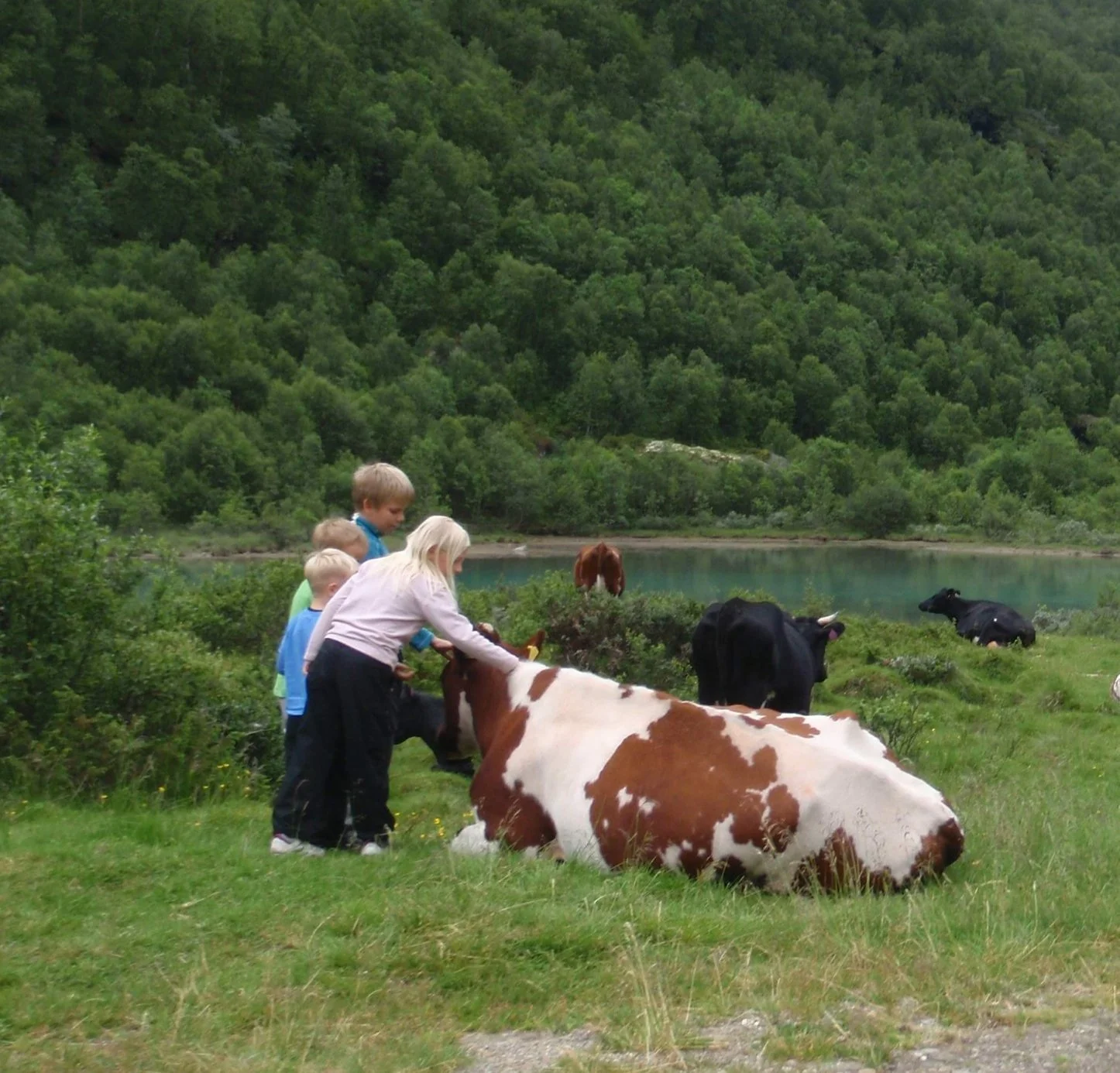 Regjeringen styrker fjellstyrene med syv millioner kroner- Det gir mer mat og bedre folkehelse!