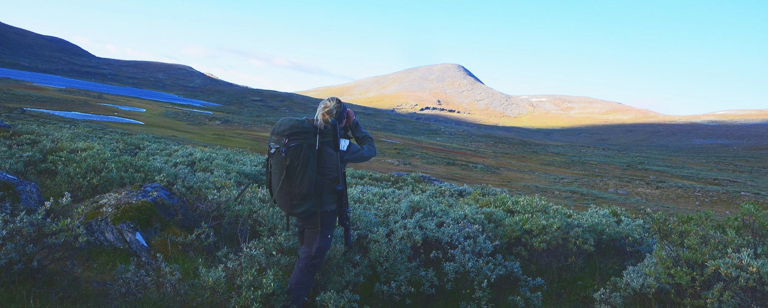 Ledig stilling i Kvikne utmarksråd- Fjelloppsyn inngår  