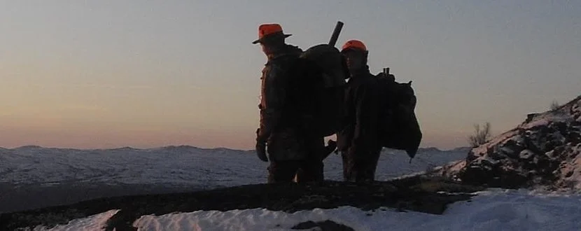 Årets jaktfelt for elg/hjort er på nett