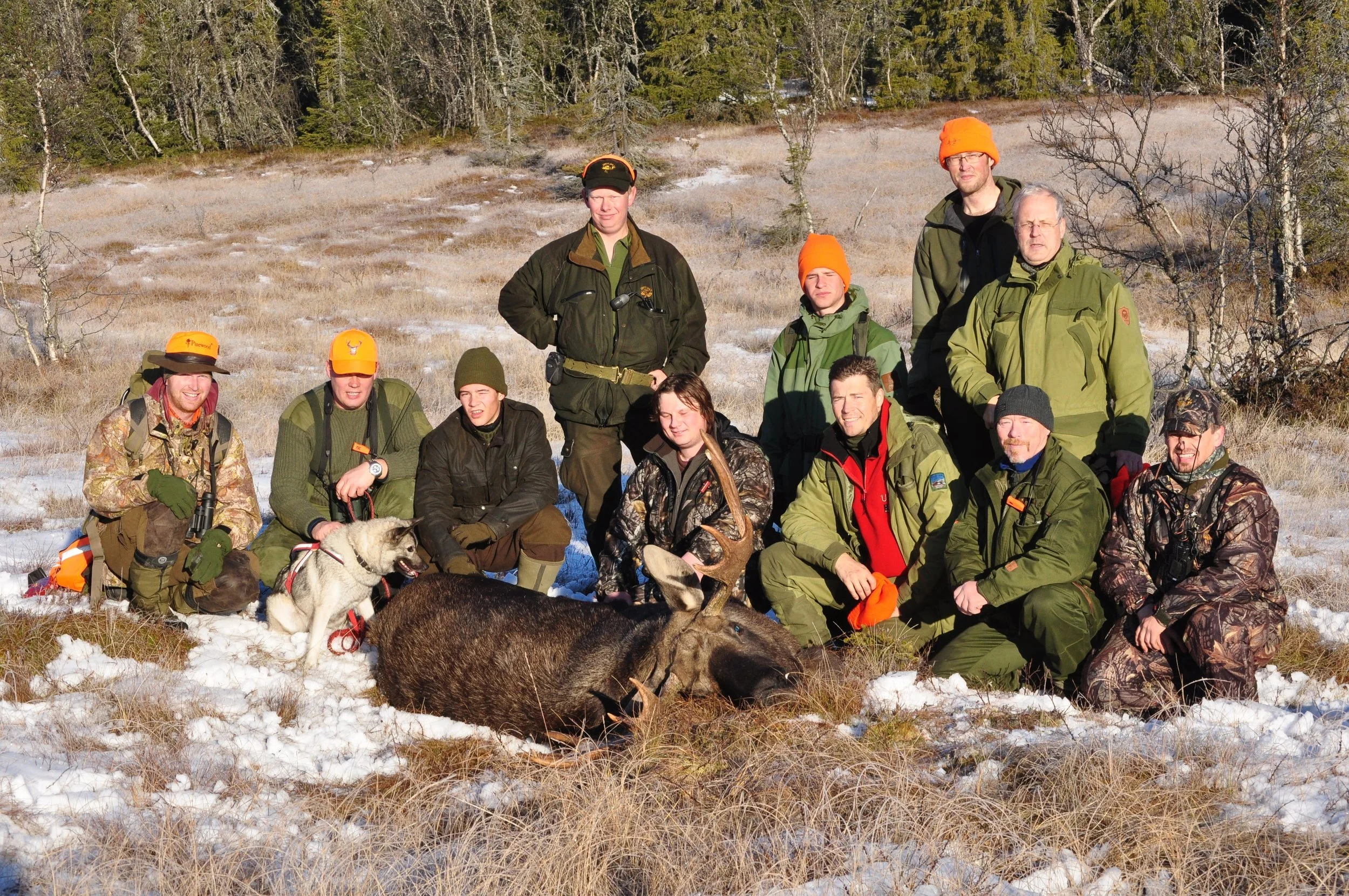 Ledige plasser på introjakt elg