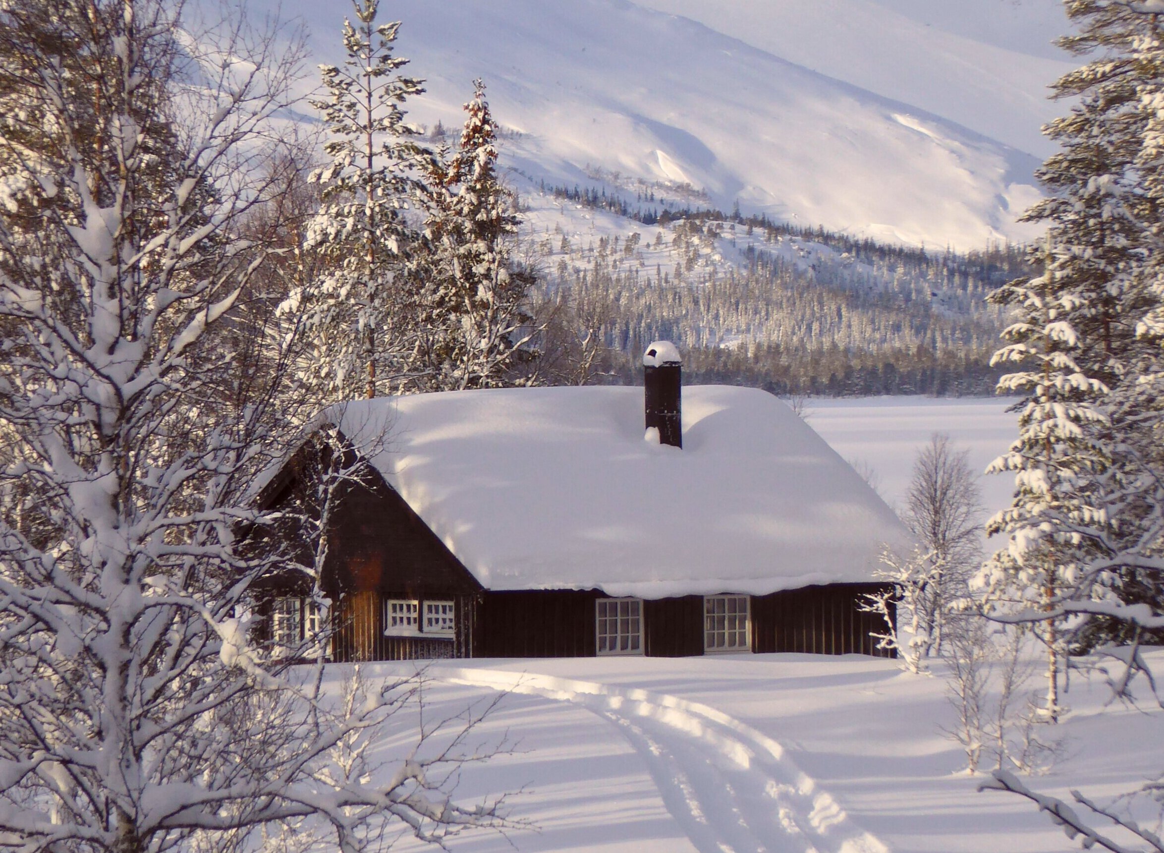 Finn julefreden i fjellet