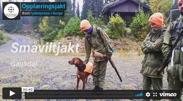 Det spirer i jegermiljøet