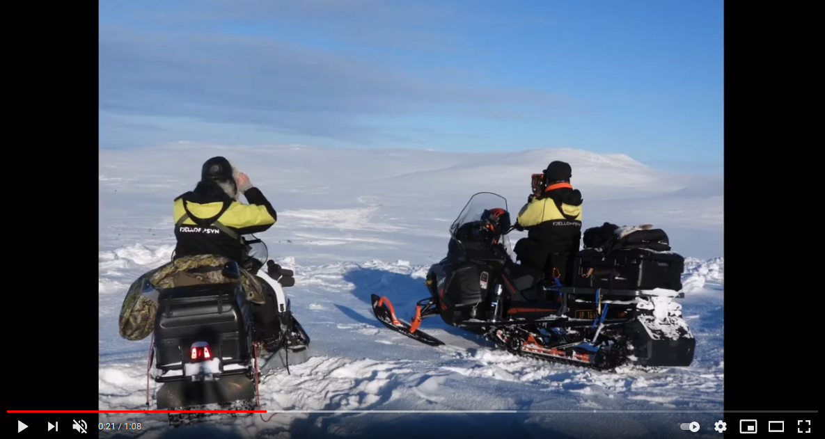 Villreintelling med kikkert og drone