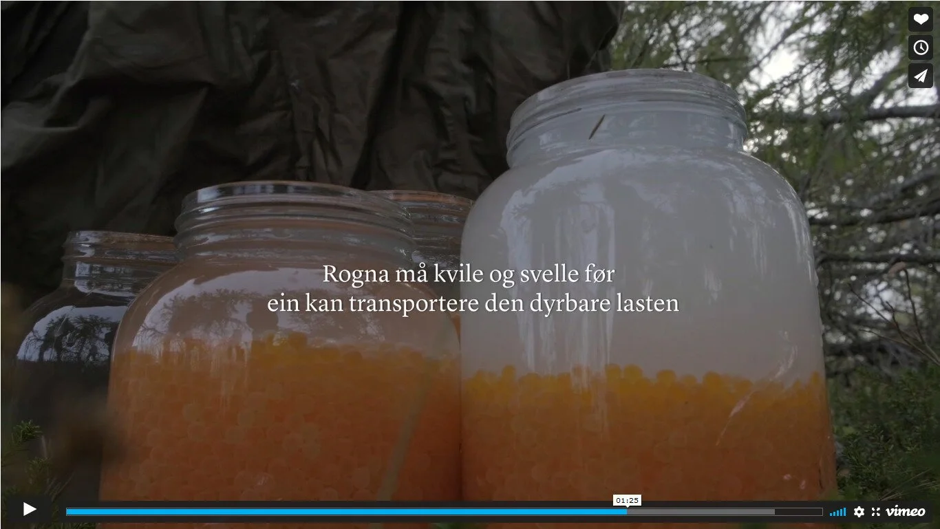 Bli med på stamfiske i Vestre Slidre