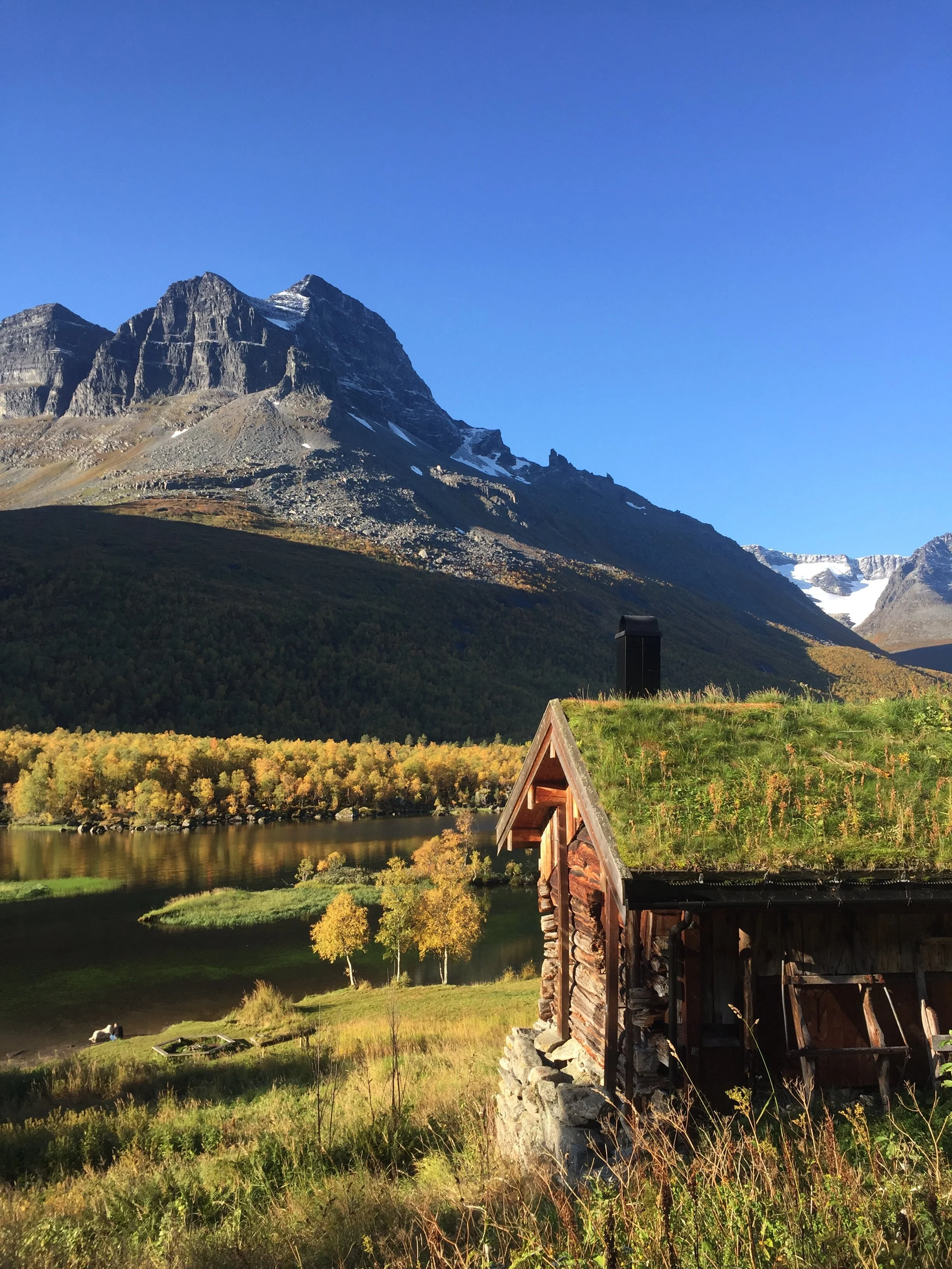 Kronikk-Fjellstyrene 100 år