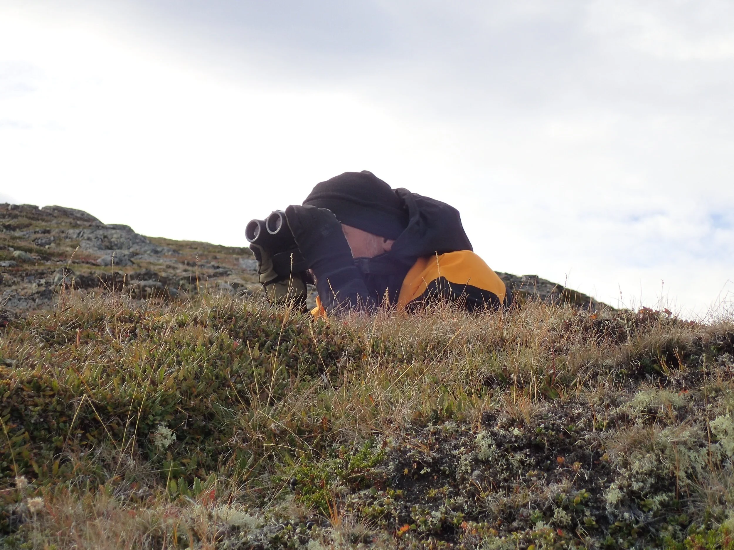 Opning av grenser og oppheving av fredningssoner
