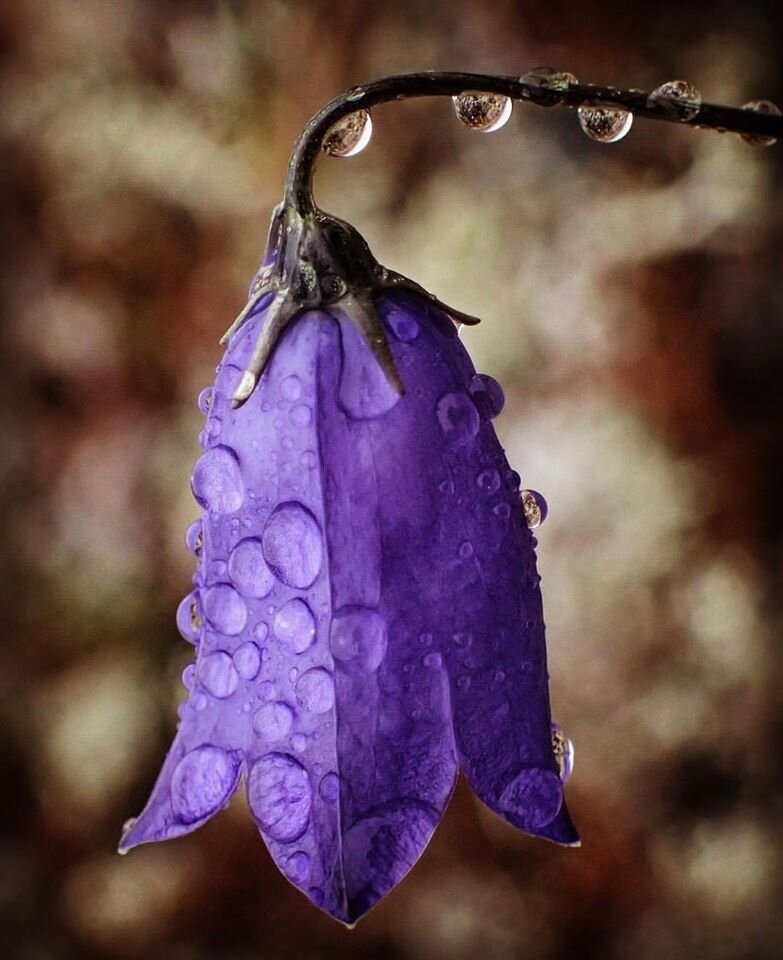 Siste frist for påmelding