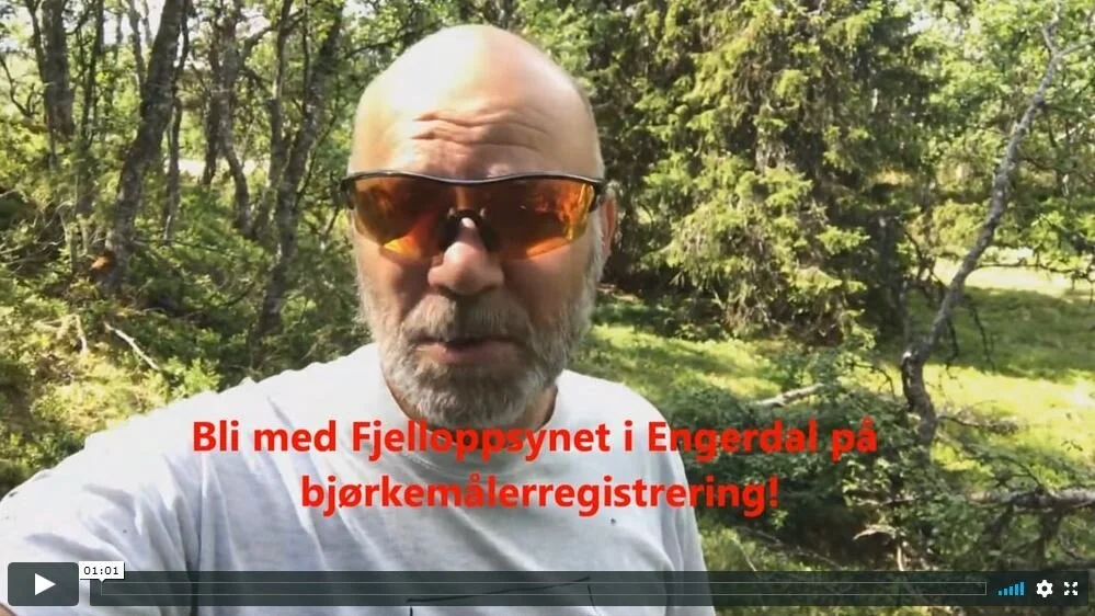 Varierte oppgaver i sommervarmen