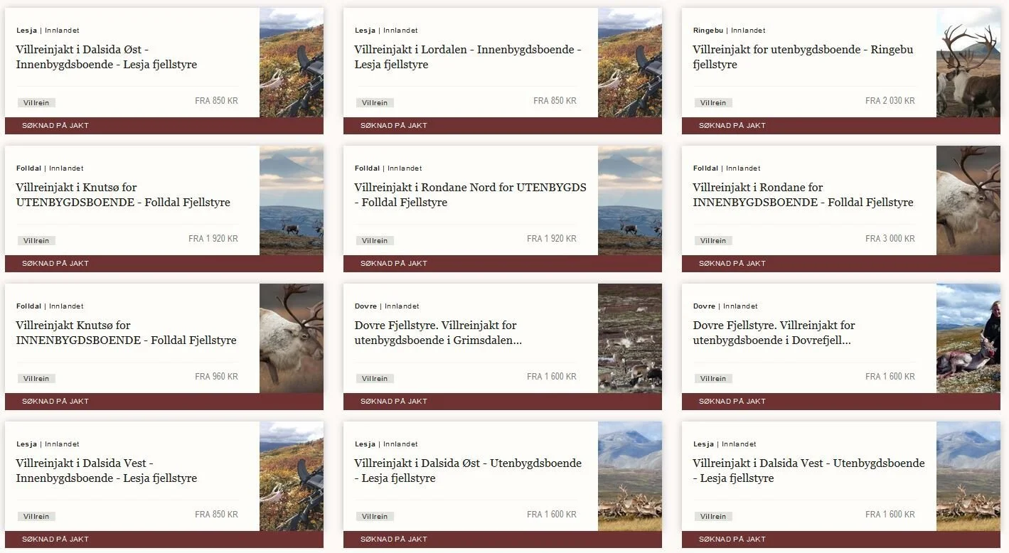 Nå kan du søke villreinjakt hos fjellstyrene!